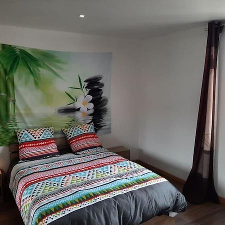 T3 Hyper-Centre Au Calme Tout Equipe Parking Prive Apartment Кастр Екстериор снимка